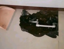 雁峰卫生间测漏水多少钱